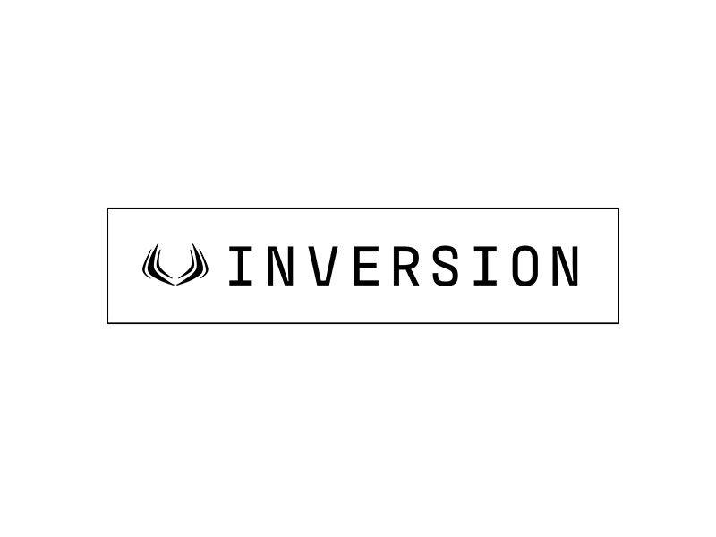 Inversion Space